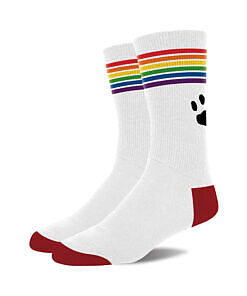 White Prowler Pride Socks with rainbow striped cuff and embroidered paw print logo