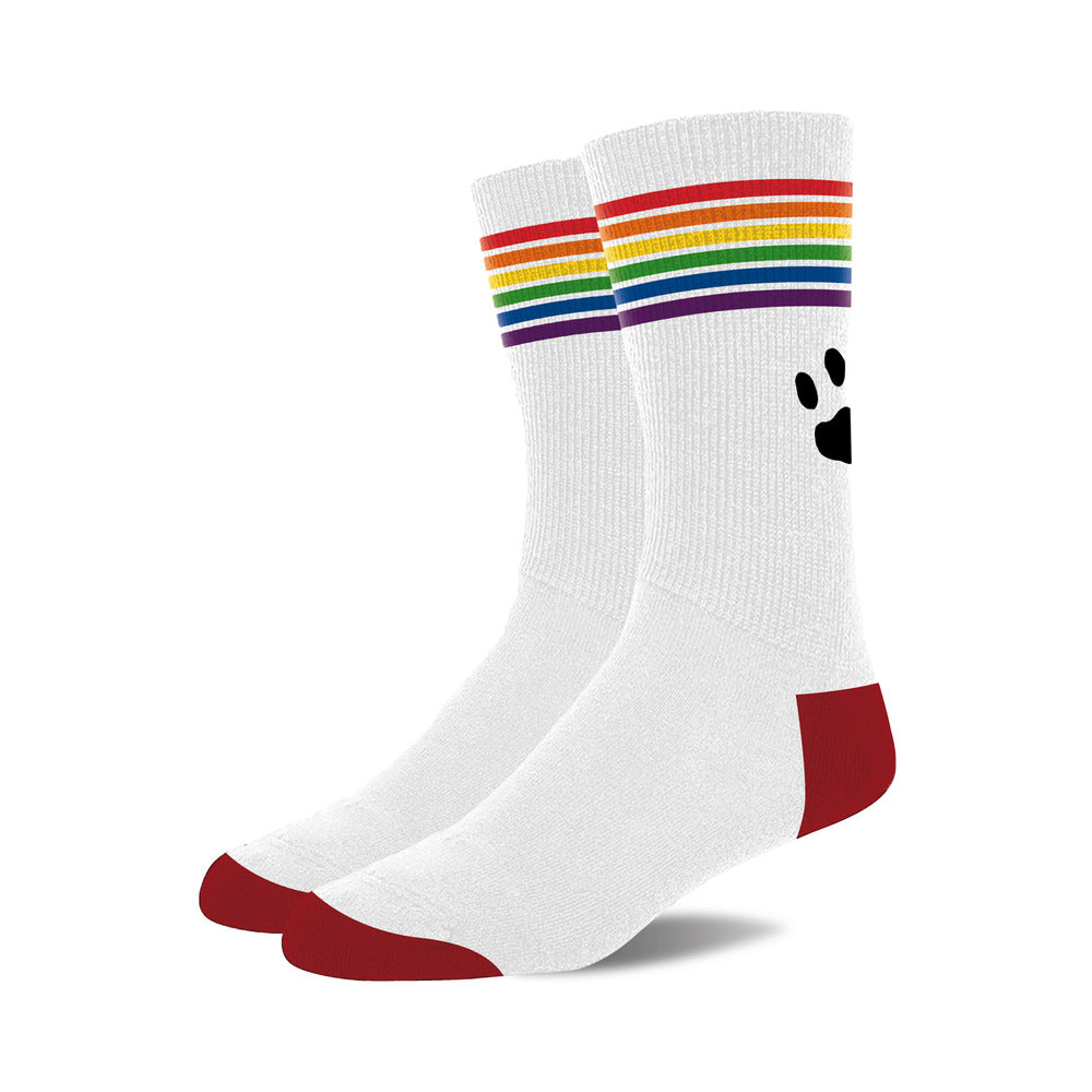 White Prowler Pride Socks with rainbow striped cuff and embroidered paw print logo