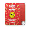 Flintts Mints Cinnamon Ginger F Strength 300 quick-dissolving dry mouth mints