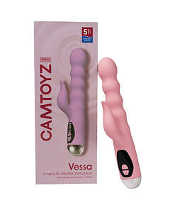 Camtoyz Vessa G-Spot & Clitoral Stimulator in pink silicone with curved dual-stimulation design on white.