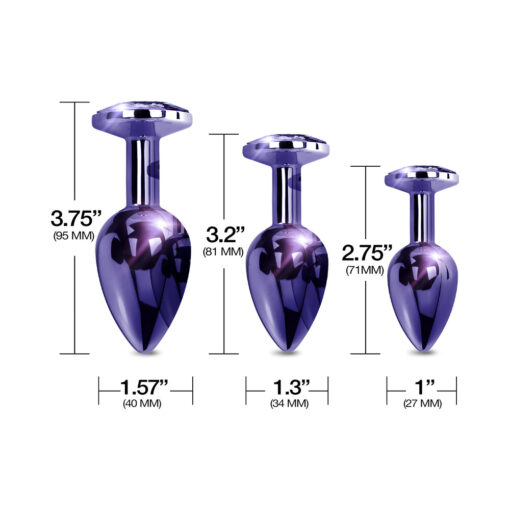 Nixie Metal Butt Plug Trainer Set 3-Piece Purple Metallic - Image 4