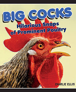 Big Cocks book cover featuring a majestic rooster against a bright background