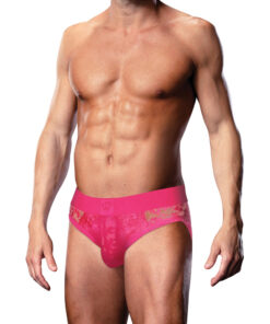 revealing sheer floral lace and wide elastic waistband.