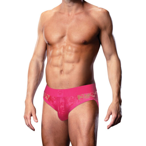 revealing sheer floral lace and wide elastic waistband.