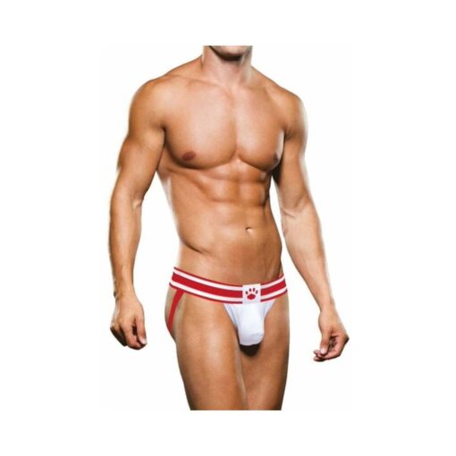 front view showing wide waistband and supportive pouch.