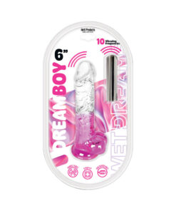 Wet Dreams Dream Boy Jelly Dildo and rechargeable bullet