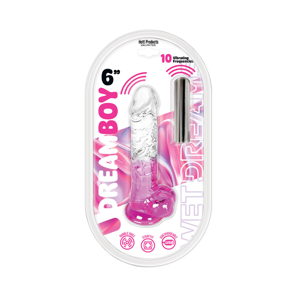 Wet Dreams Dream Boy Jelly Dildo and rechargeable bullet